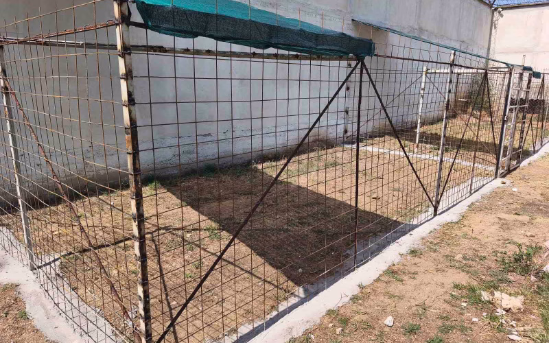 Затворениците во КПД Прилеп изработија нови боксови за службените кучиња