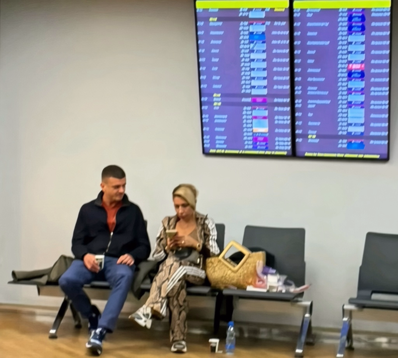 Вучиќ падна, а неговата омилена водителка замина од Србија